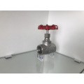 stainless steel globe valve with ANSI standard